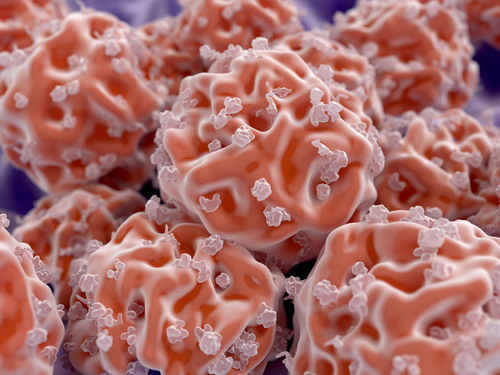 Adult Stem Cell Therapy Available at Prairie Spine Pain Institute