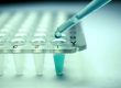 Are You A Candidate For Stem Cell Therapy?
