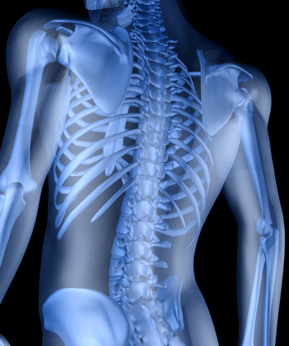 Imaging An Important Diagnostic Tool