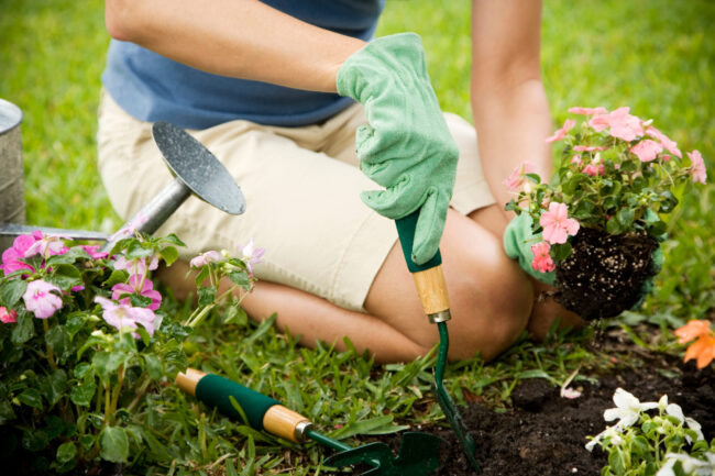 11 Ways to Keep Gardening with Back Pain