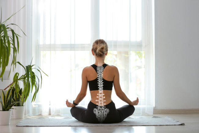 Spine