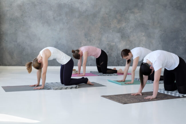 The 10 Best Yoga Poses for Back Pain