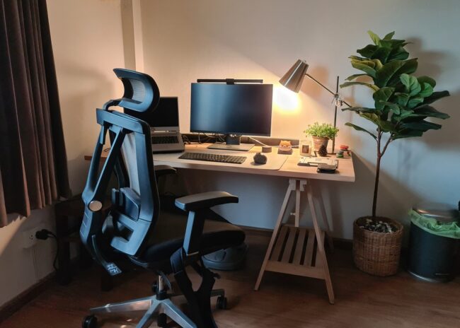 Ergonomic Chair Essentials: Mastering Spine Health