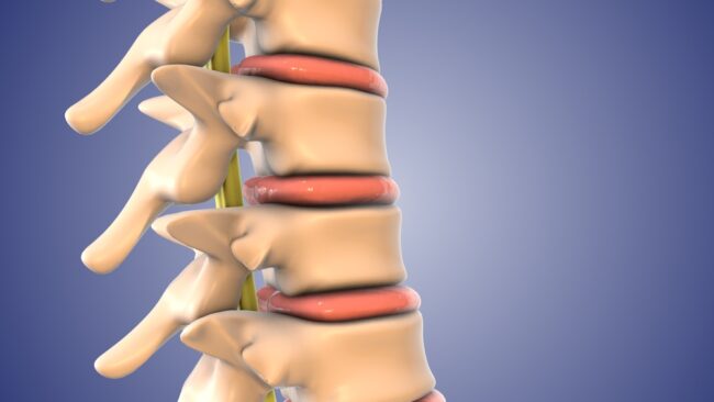 New Platform Aims To Transform The Study Of Spinal Cord Biology New Platform Aims To Transform The Study Of Spinal Cord Biology