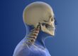 10 Expert Tips to Prevent Neck and Spine Problems