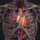 Increase Blood Flow to Spine for Better Mobility